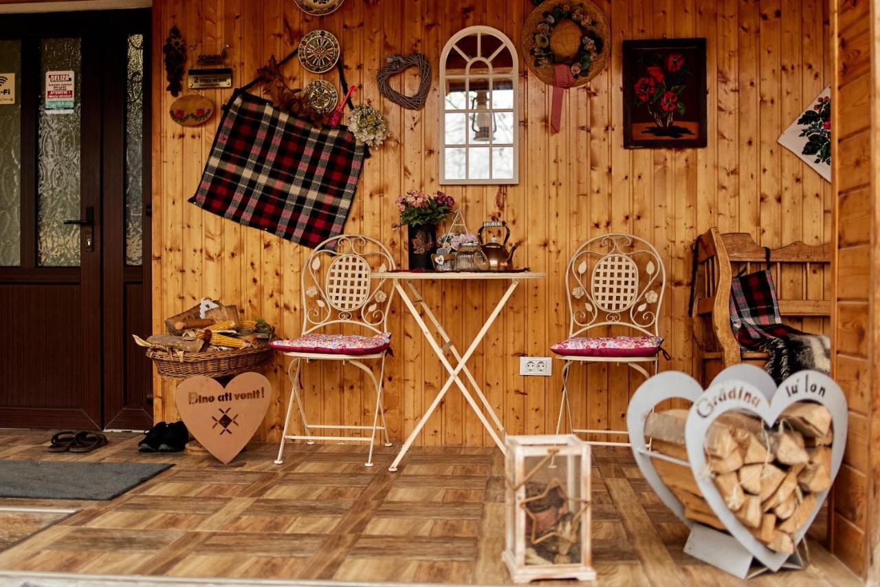 Gradina Lu' Ion "A Home Away From Home" (Adults Only) Vişeu de Sus Exterior foto