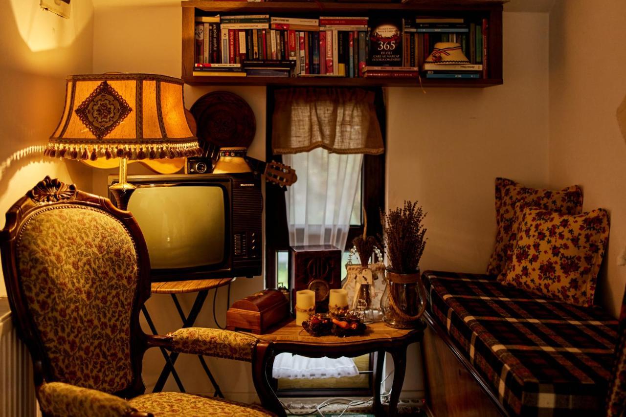 Gradina Lu' Ion "A Home Away From Home" (Adults Only) Vişeu de Sus Exterior foto